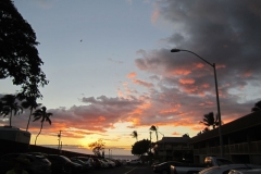 MauiJan2016-036b-640