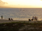 Look Here! Whales viewed from our beach on Kamaole II