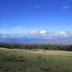 Up Country Maui on the Mt Haleakala highway
