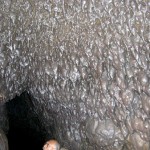 Hana Lava Caves where nothing has changed for 1000 years